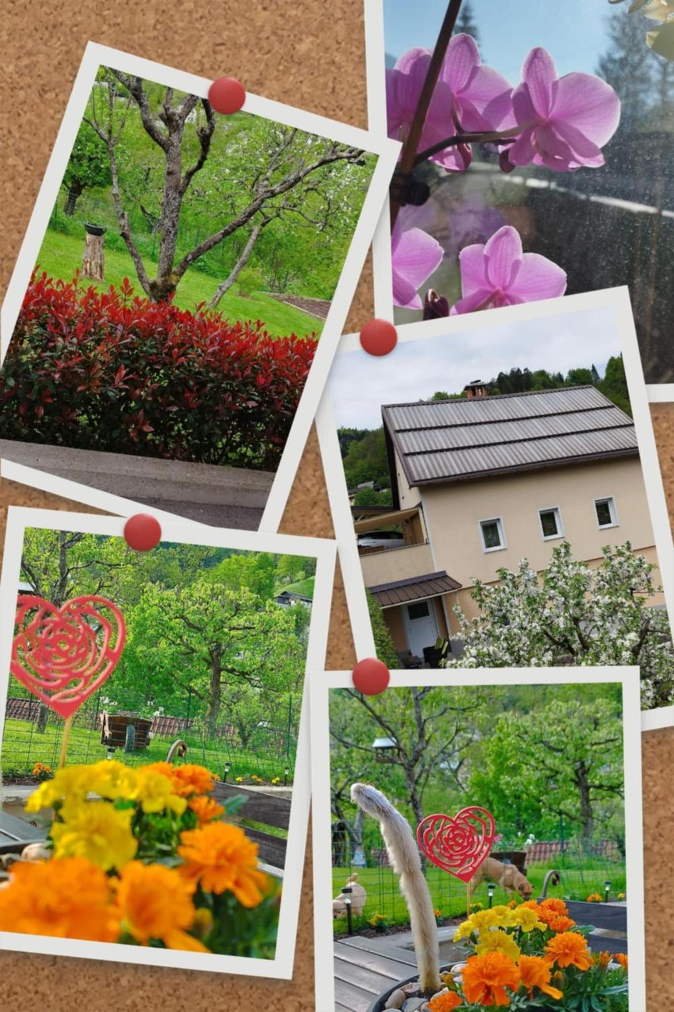 Apartma B & O อิดริยา ภายนอก รูปภาพ